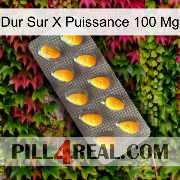 Hard On X Power 100 Mg cialis1